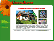 Tablet Screenshot of anderlbauer.com